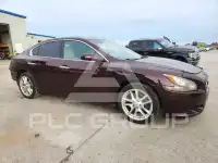 2014 Nissan MAXIMA фото