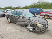 2014 Nissan MAXIMA photo