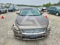 2014 Nissan MAXIMA photo