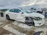 2014 Nissan MAXIMA фото
