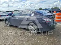 2014 Nissan MAXIMA фото
