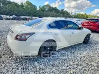 2014 Nissan MAXIMA photo