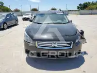 2014 Nissan MAXIMA photo