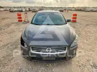 2014 Nissan MAXIMA фото