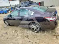 2014 Nissan MAXIMA photo