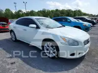 2014 Nissan MAXIMA фото