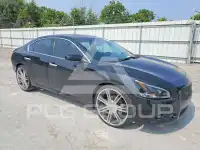 2014 Nissan MAXIMA photo