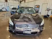 2014 Nissan MAXIMA фото