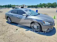 2014 Nissan MAXIMA фото