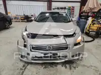 2014 Nissan MAXIMA photo