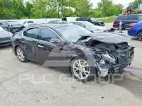 2014 Nissan MAXIMA фото