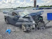 2014 Nissan MAXIMA photo