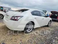 2014 Nissan MAXIMA photo