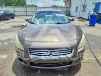 2014 Nissan MAXIMA фото