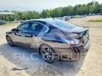 2014 Nissan MAXIMA photo