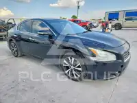 2014 Nissan MAXIMA фото