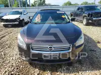 2014 Nissan MAXIMA photo