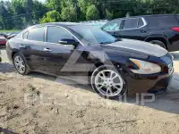 2014 Nissan MAXIMA фото