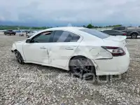 2014 Nissan MAXIMA photo