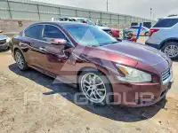 2014 Nissan MAXIMA photo