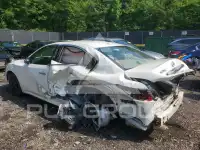 2014 Nissan MAXIMA фото