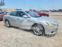 2014 Nissan MAXIMA photo