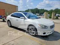 2014 Nissan MAXIMA photo
