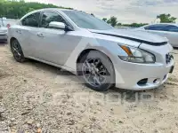 2014 Nissan MAXIMA photo