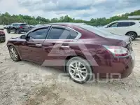2014 Nissan MAXIMA photo