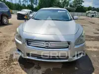 2014 Nissan MAXIMA photo