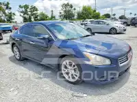 2014 Nissan MAXIMA photo
