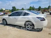 2014 Nissan MAXIMA photo