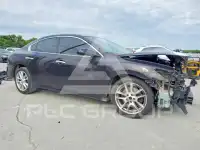 2014 Nissan MAXIMA фото