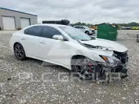 2014 Nissan MAXIMA photo