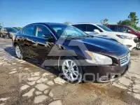 2014 Nissan MAXIMA photo