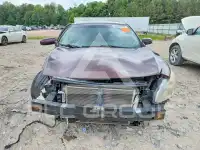2014 Nissan MAXIMA photo