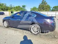 2014 Nissan MAXIMA photo