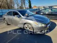 2014 Nissan MAXIMA photo