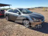 2014 Nissan MAXIMA photo