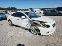 2014 Nissan MAXIMA photo