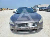 2014 Nissan MAXIMA фото