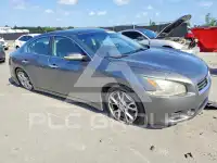 2014 Nissan MAXIMA photo