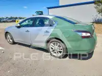 2014 Nissan MAXIMA photo