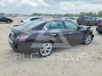 2014 Nissan MAXIMA photo