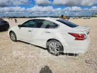 2014 Nissan ALTIMA фото