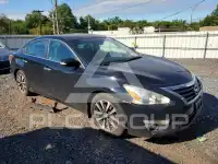 2014 Nissan ALTIMA фото