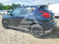2014 Nissan Juke photo