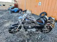 2014 Harley-Davidson Sportster120 фото