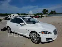 2014 Jaguar XF фото