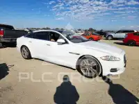 2014 Jaguar XJ фото